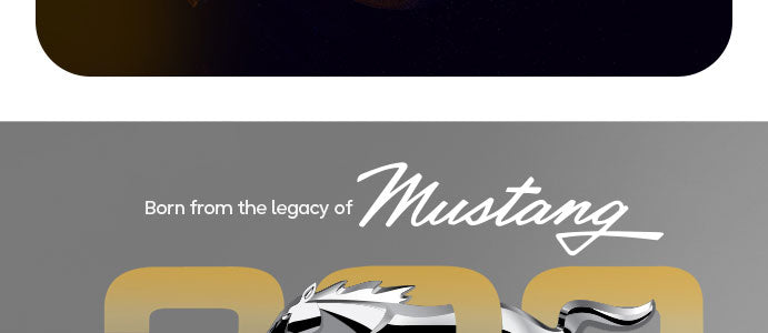 Feature Banner